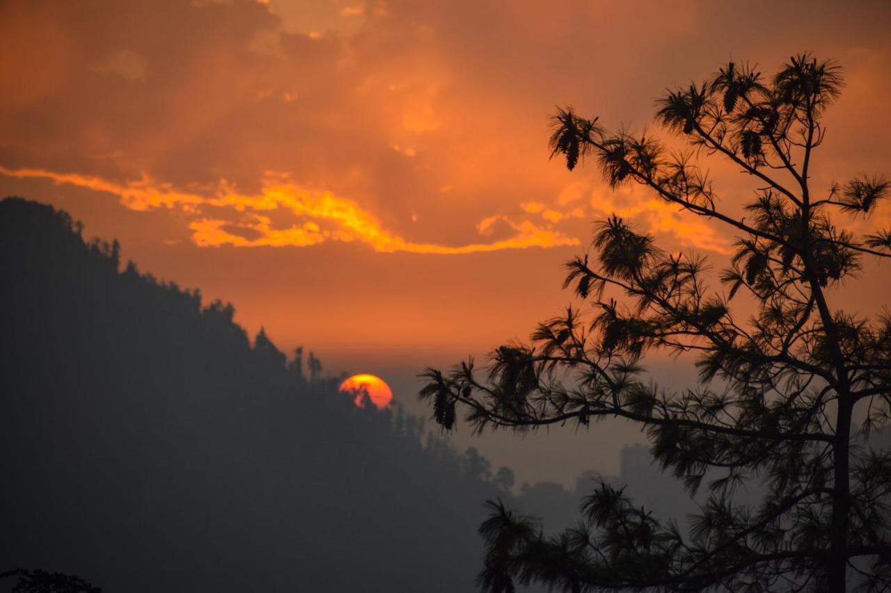 Aachman Nature Valley Resort, Mashobra Шимла Экстерьер фото